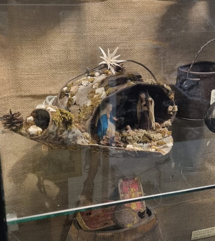 Museo del Piave Vincenzo Colognese景点图片