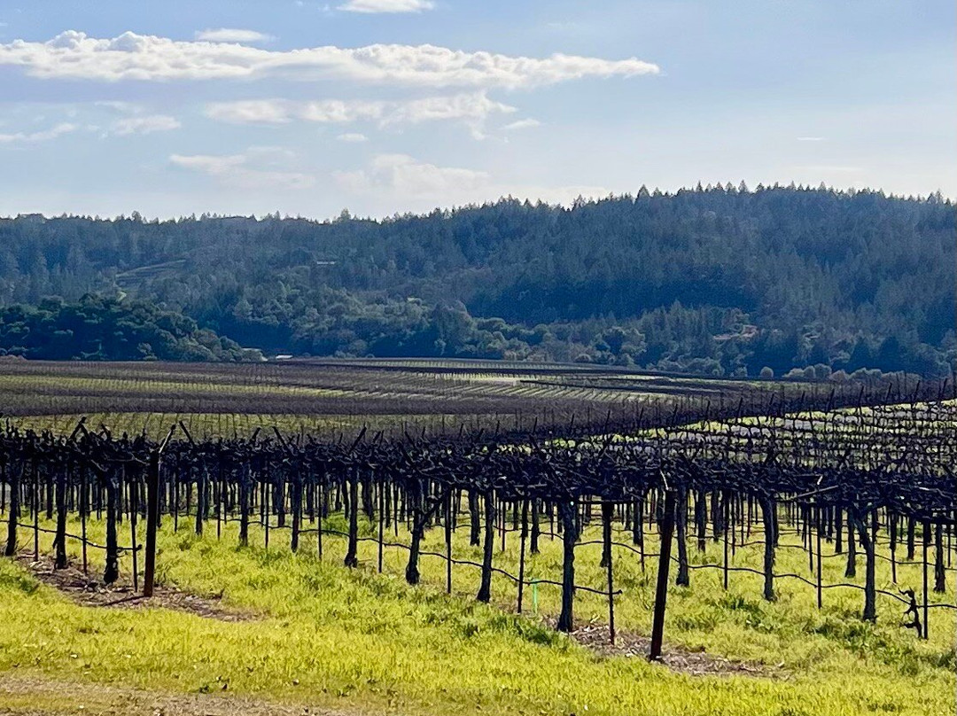 Frick Winery景点图片