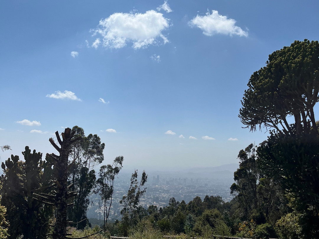 Ethiopia Selam Tours with Getachew-亚的斯亚贝巴必去景点