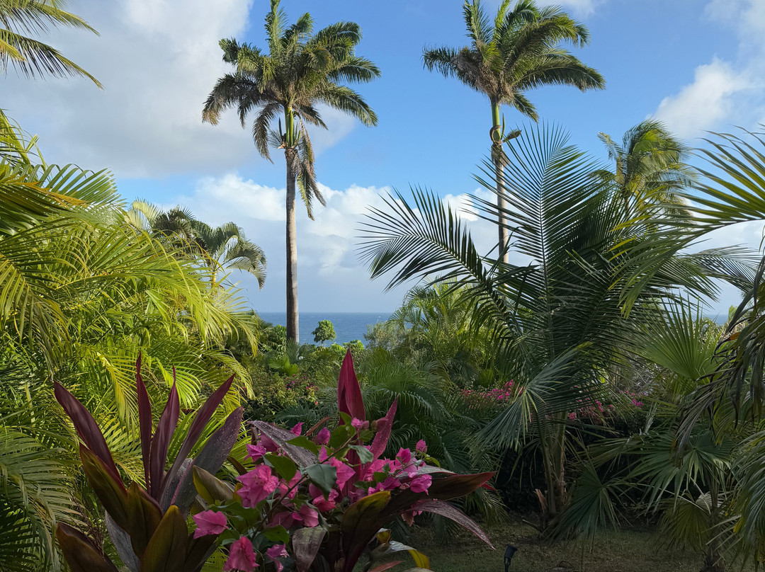 Residence Cocody主图