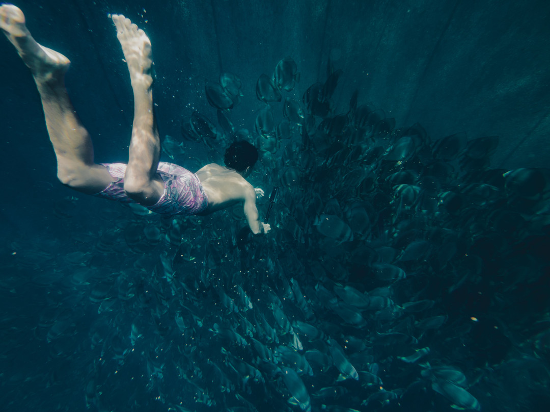 Heremiti Ura Excursion-Vairao必去景点