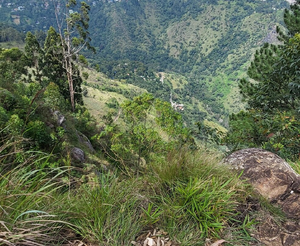 Ella Rasika Tours & Taxi-Weligatta必去景点