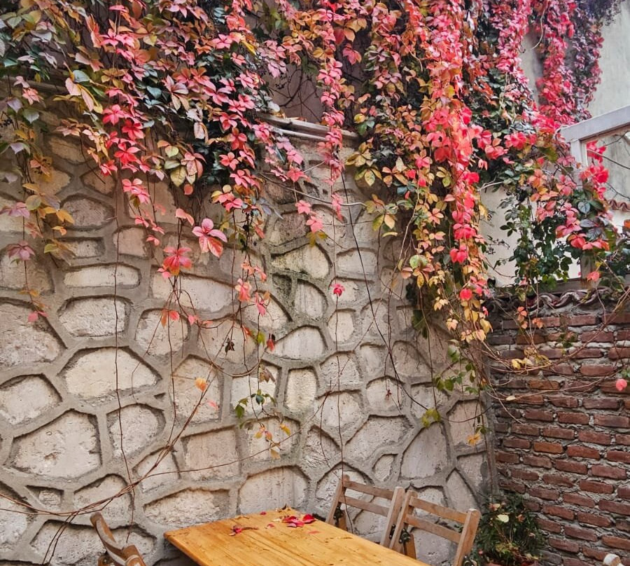 Suleymaniye Cultural Info Center-伊斯坦布尔必去景点