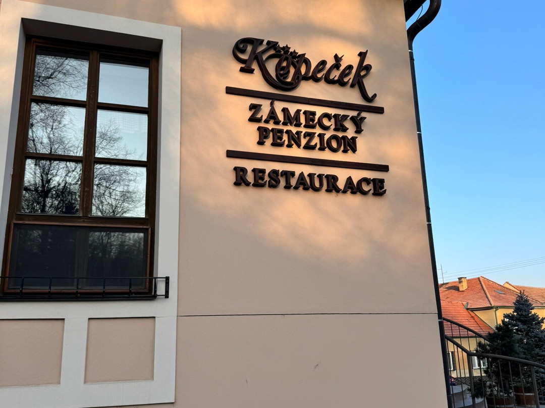 Zamecky penzion Kopecek主图
