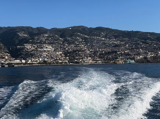 SeaYou Madeira-沙尔必去景点