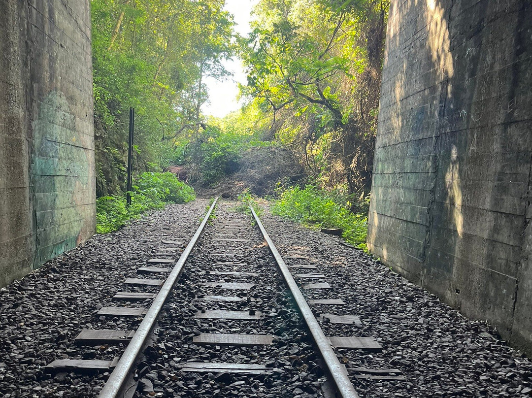 Viaduto 13-Vespasiano Correa必去景点