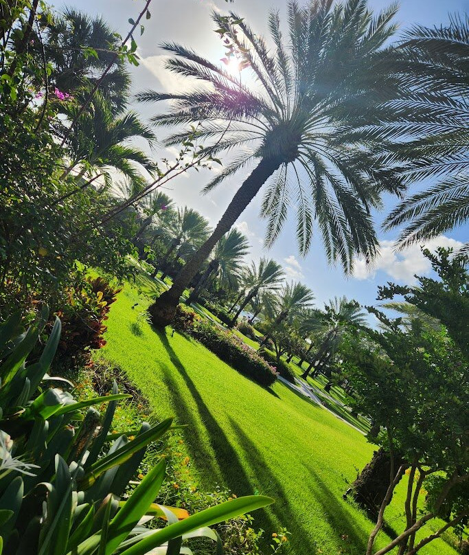 Sandals Royal Curacao主图