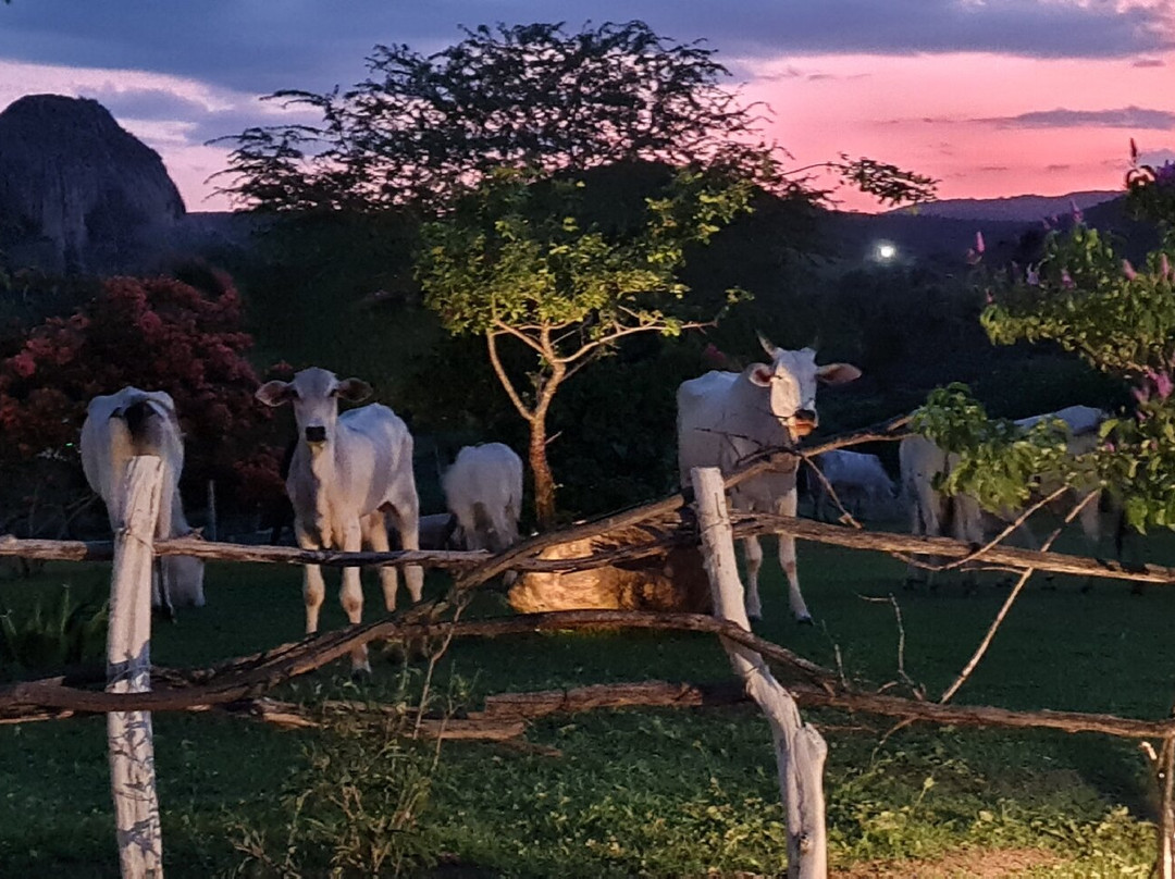 Pousada Fulo da Pedra主图