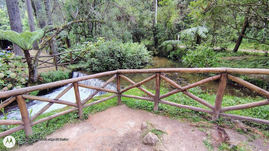 Portaria Horto Florestal-圣保罗必去景点