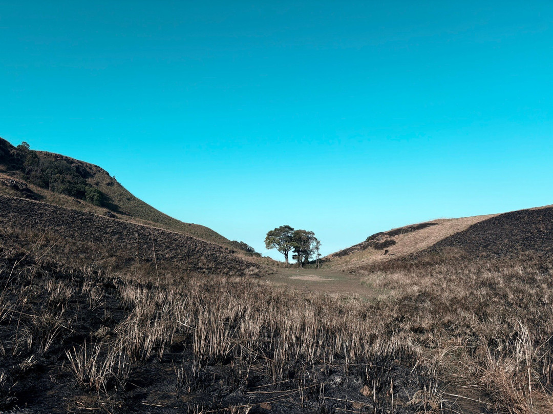Chembra Peak-瓦亚纳德区必去景点