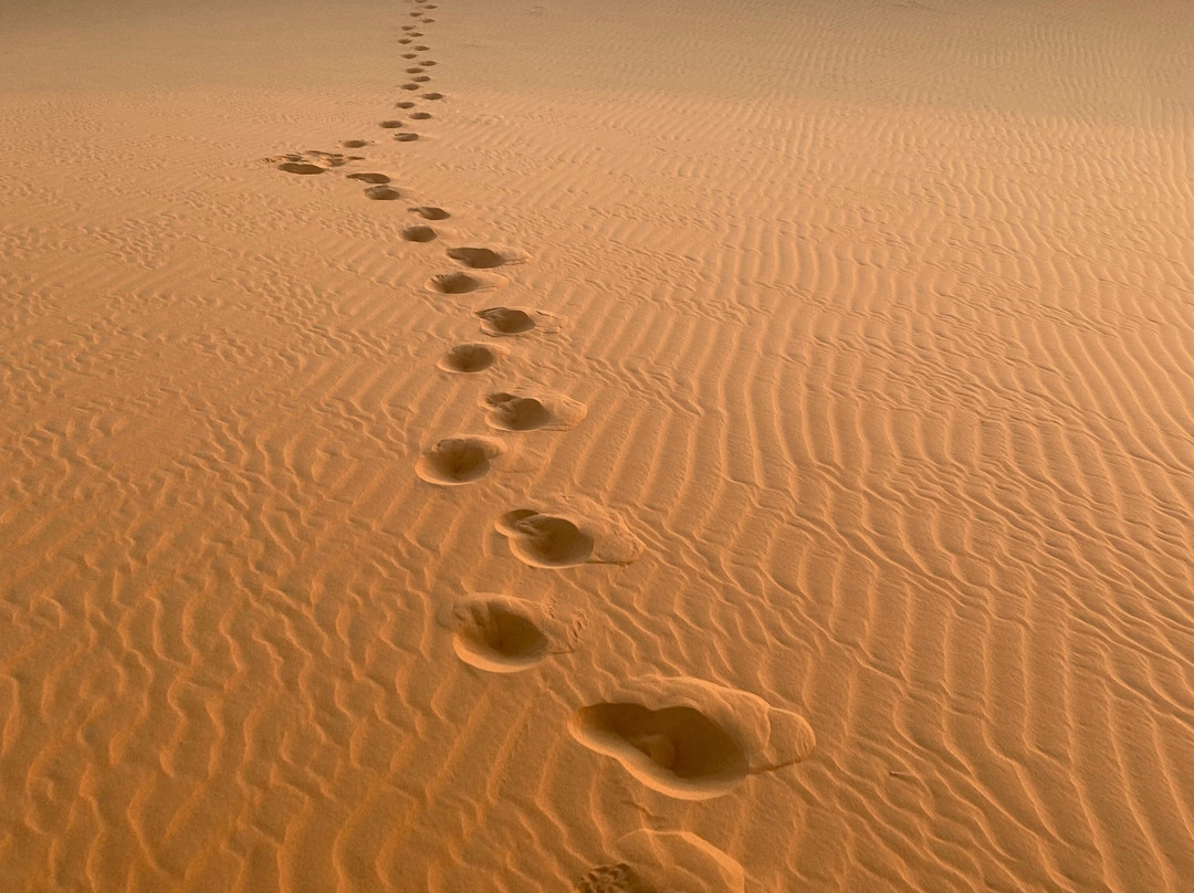 Morocco Private Driver-瓦尔扎扎特必去景点