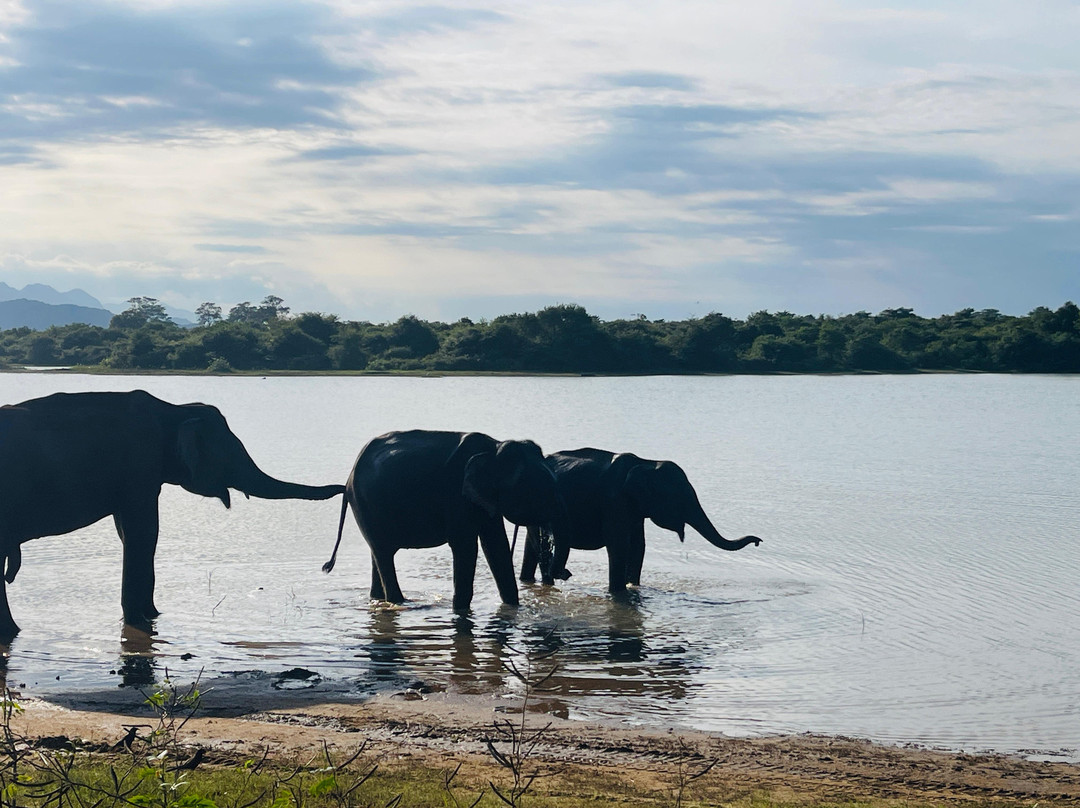Sri Lanka Escape景点图片
