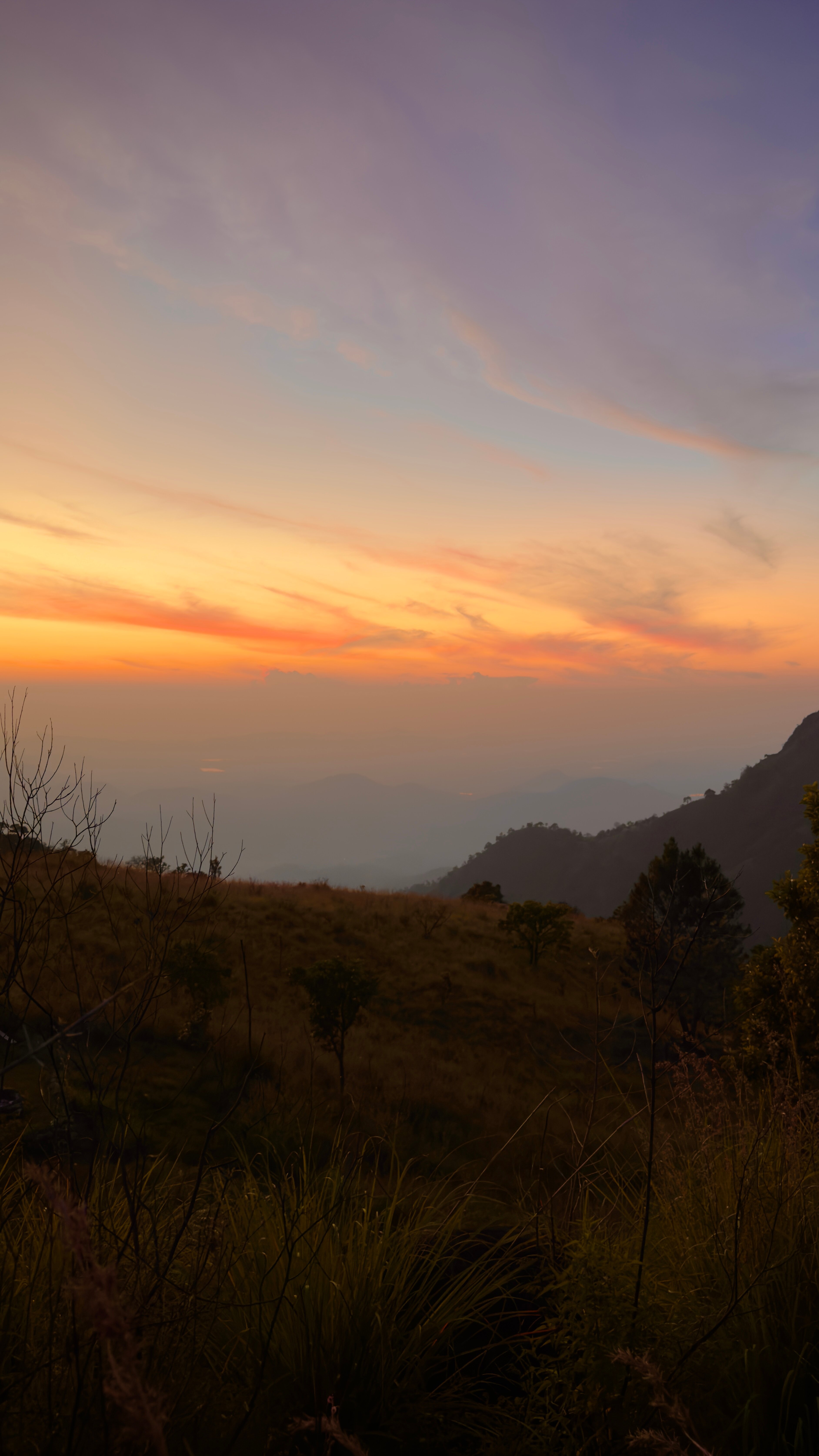 Amba Estate Farmstay-官方