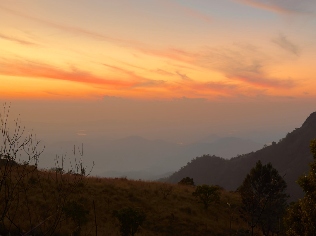 Amba Estate Farmstay主图