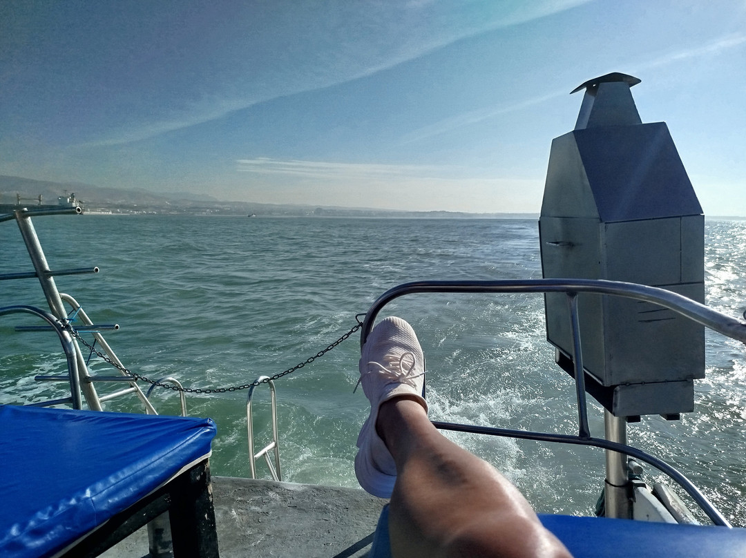 Agadir Golden Trip Official-阿加迪尔必去景点