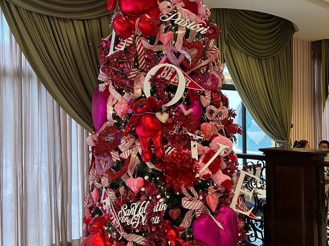 Hotel Plaza Colonial主图