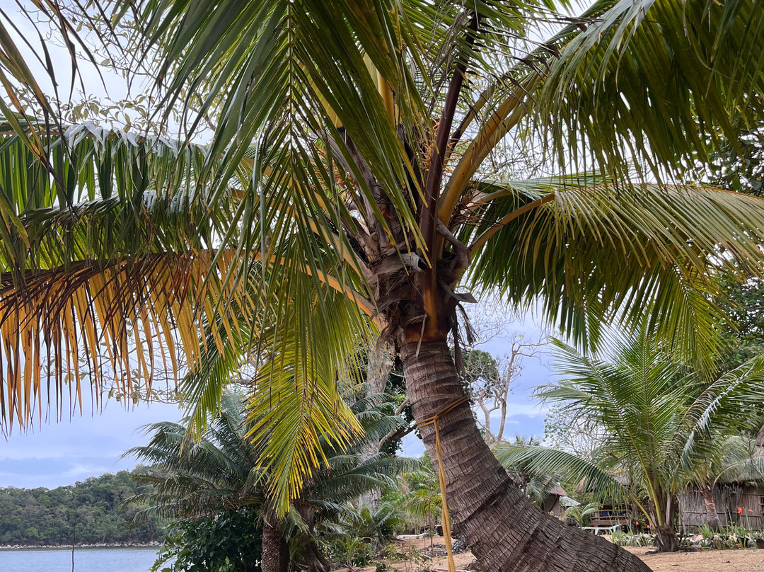 Cashew Grove Beach Resort主图