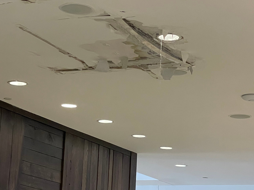 YO1 Longevity & Health Resorts主图