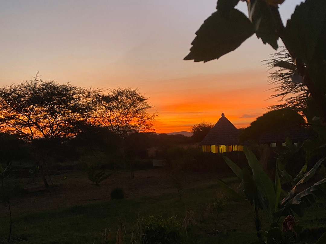 UBUNTU SAFARIS & TOURS COMPANY-阿鲁沙必去景点