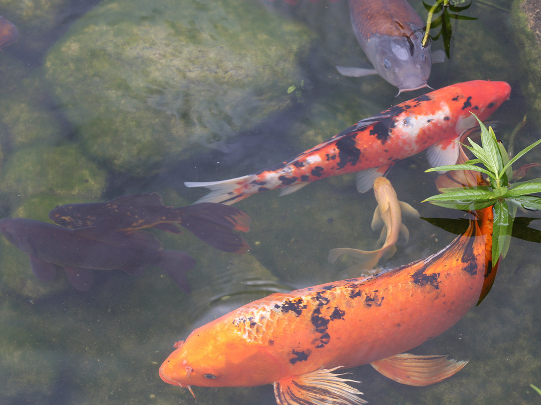 Stevns Folklore Museum-Store Heddinge必去景点