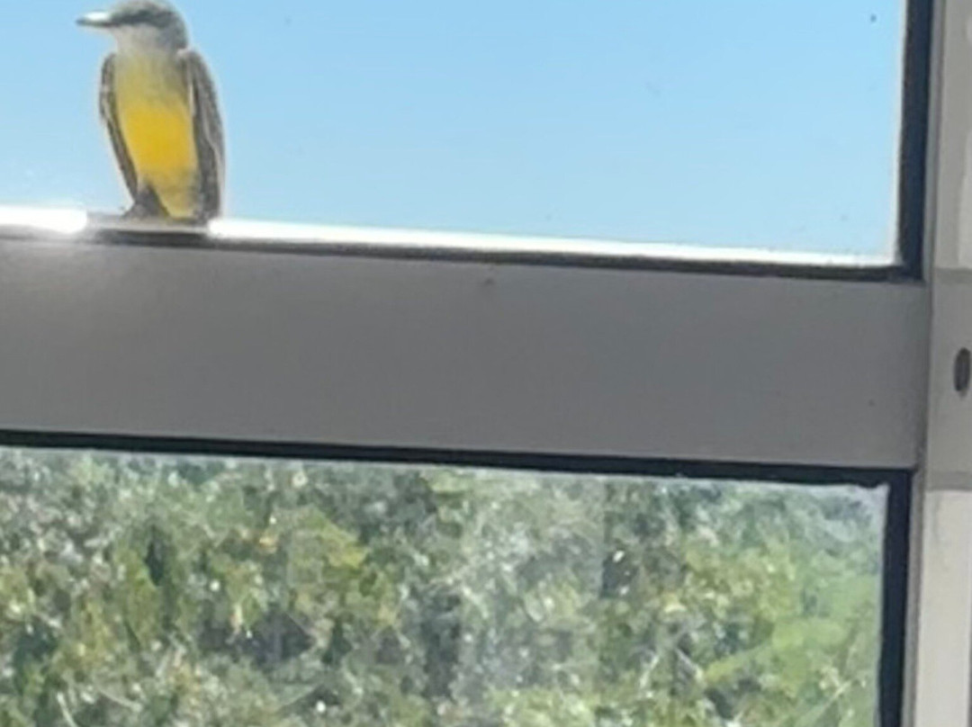 Hotel Uxmal Resort Maya主图