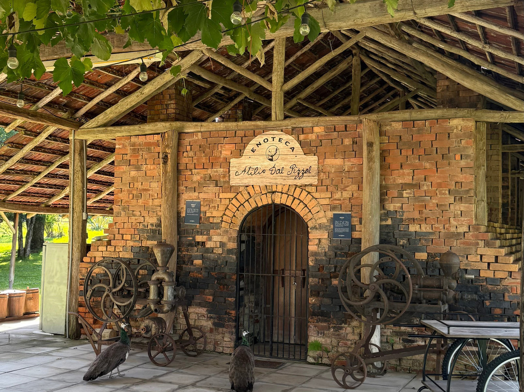 Dal Pizzol Vinhos Únicos景点图片