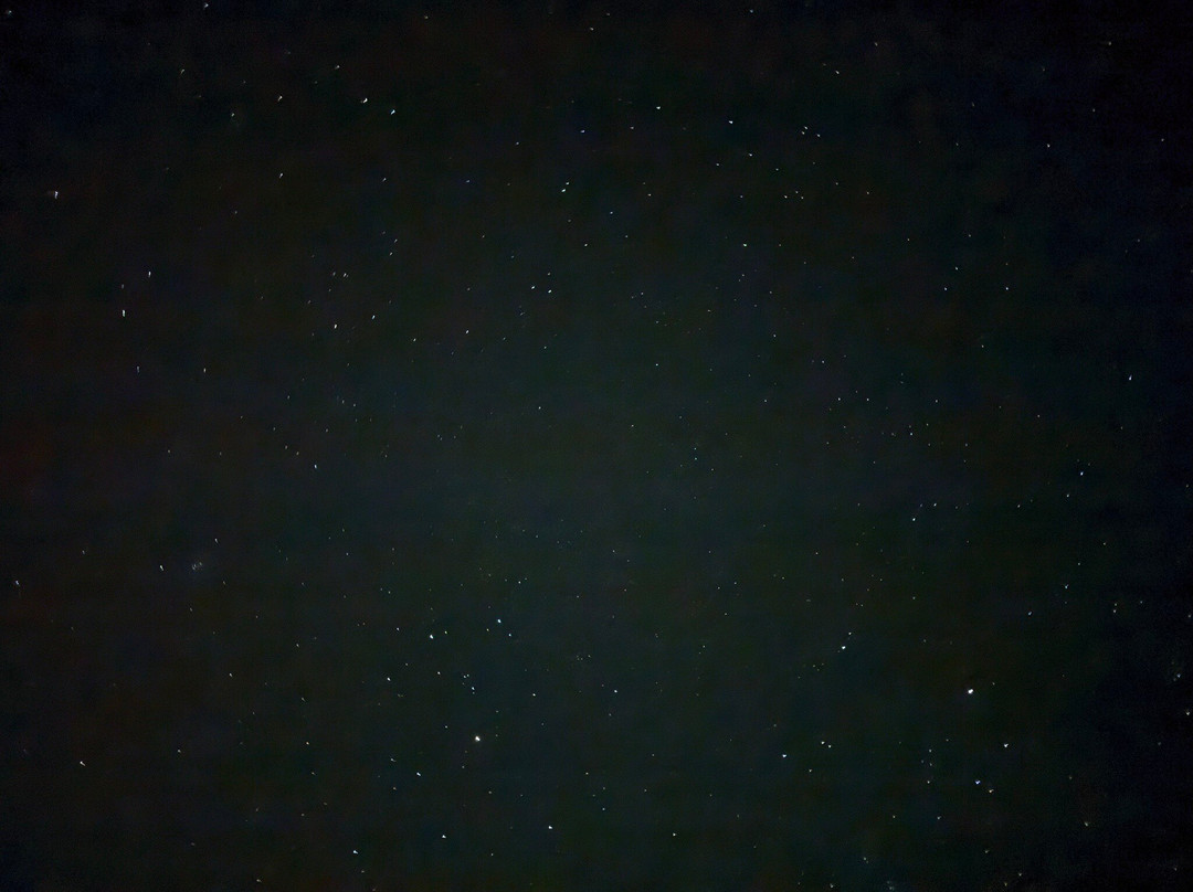 Astro Dog Stargazing-Thornton-Le-Dale必去景点