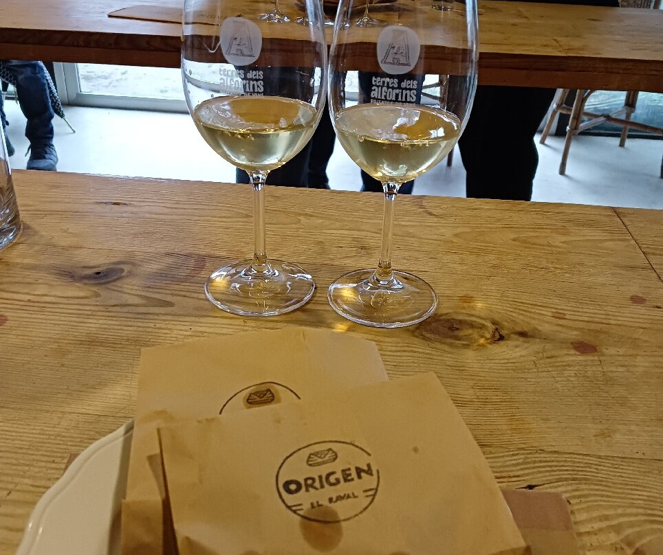 Private Tours Valencia-巴伦西亚必去景点