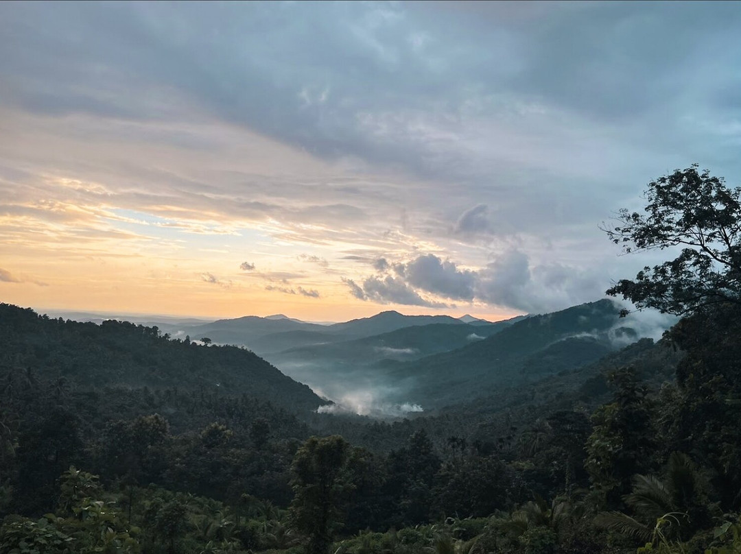 Malom -The Coorg Of Kerala景点图片