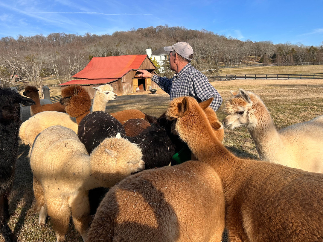 Coleman Valley Alpaca Farm-富兰克林必去景点