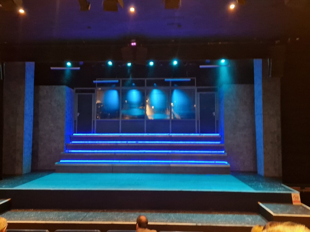 Wyllyotts Theatre景点图片