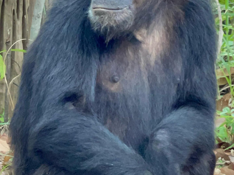 Tanzania Rollers Safari-阿鲁沙必去景点