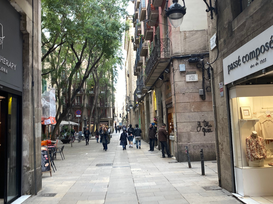 Bali Trip Driver Hire  - Driver in Bali-乌布必去景点