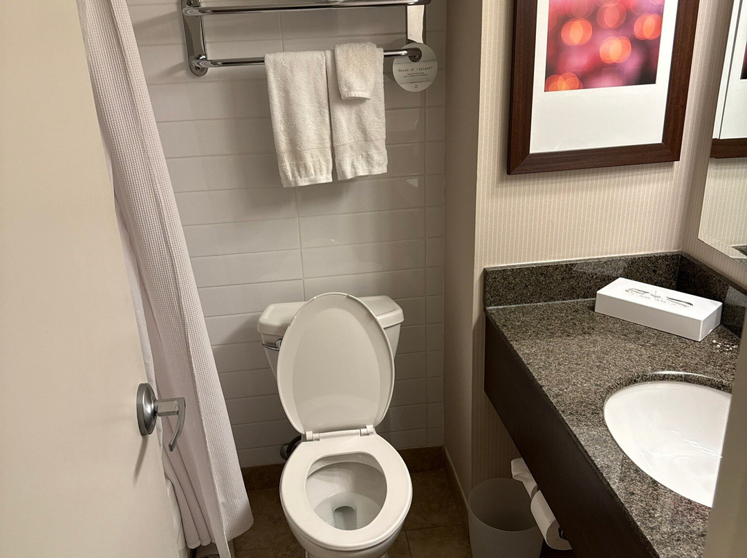 博塞茹尔三角洲酒店主图