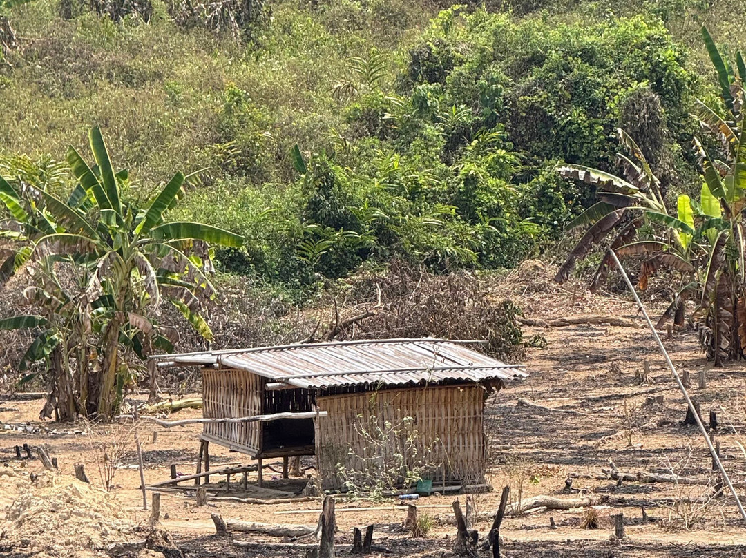 Green Jungle Trekking Tours- Cambodia-邦隆必去景点