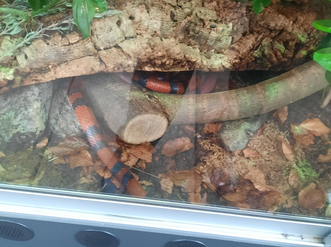 Biosphäre Potsdam-波茨坦必去景点