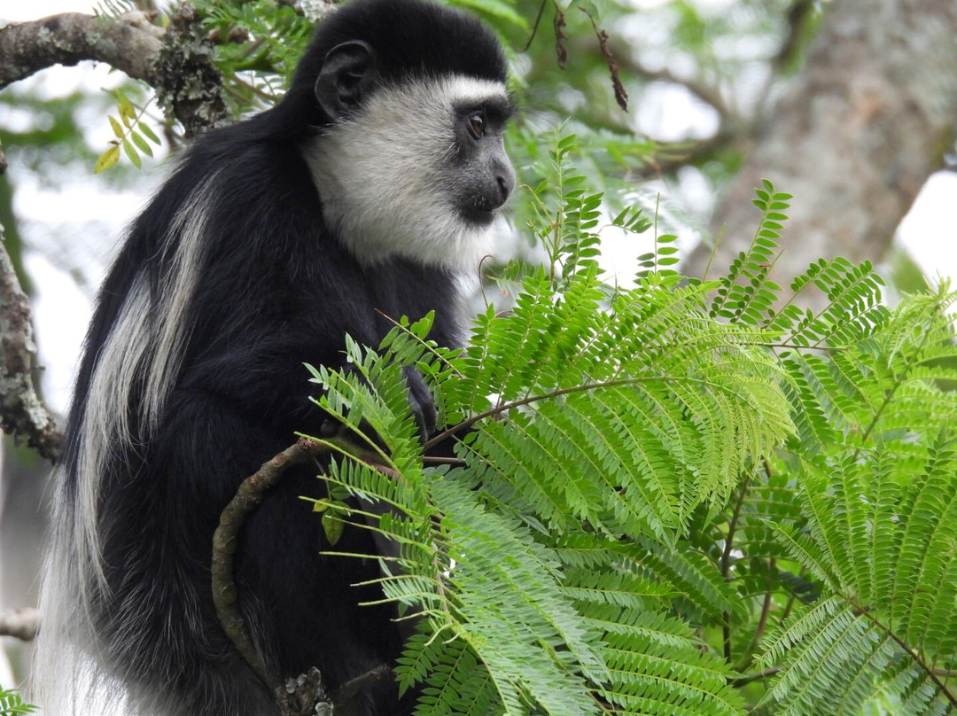 Lake Nkuruba Nature Reserve & Community Campsite主图