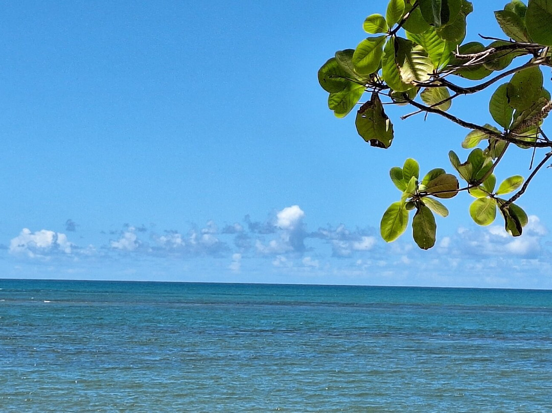 Pousada Coqueiros主图