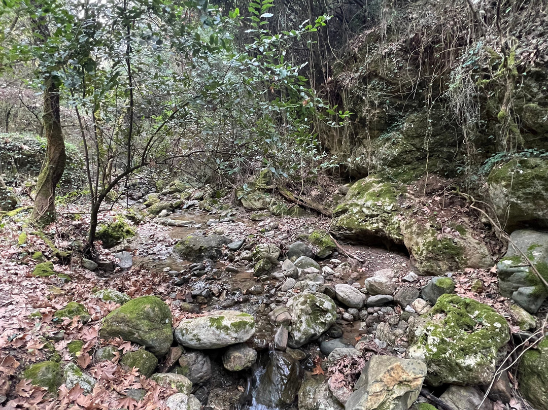 Gorge Sarakina Meskla-Meskla必去景点