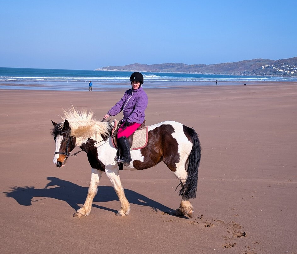 Woolacombe Riding Stables-伍拉科姆必去景点