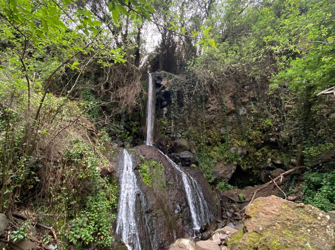 Barranco De Los Cernicalos景点图片