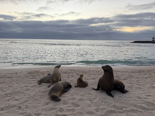 Ocean Whim-Puerto Baquerizo Moreno必去景点