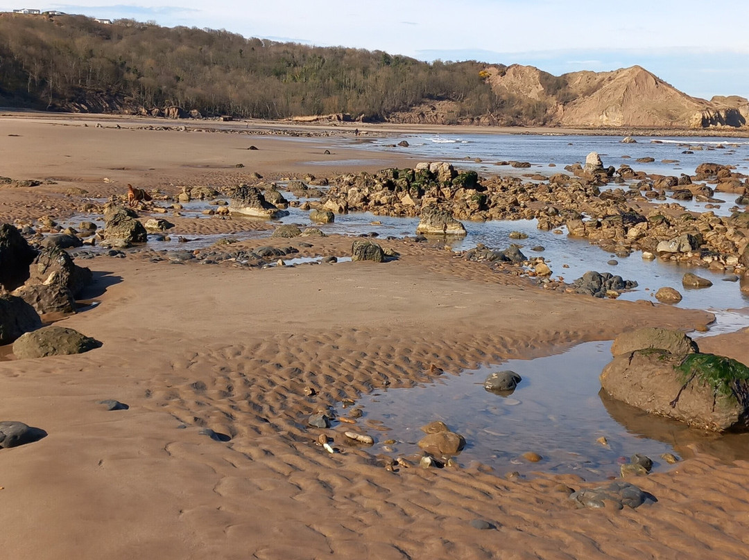 Cayton Bay Beach景点图片
