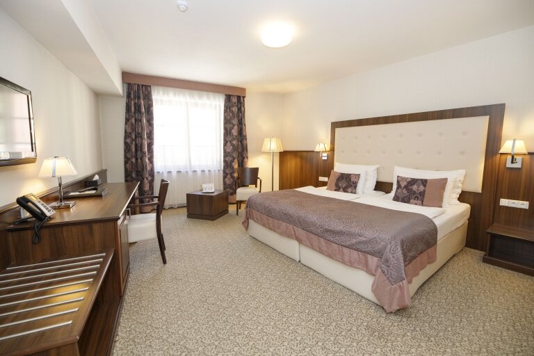 Hotel Sladovna-客卧