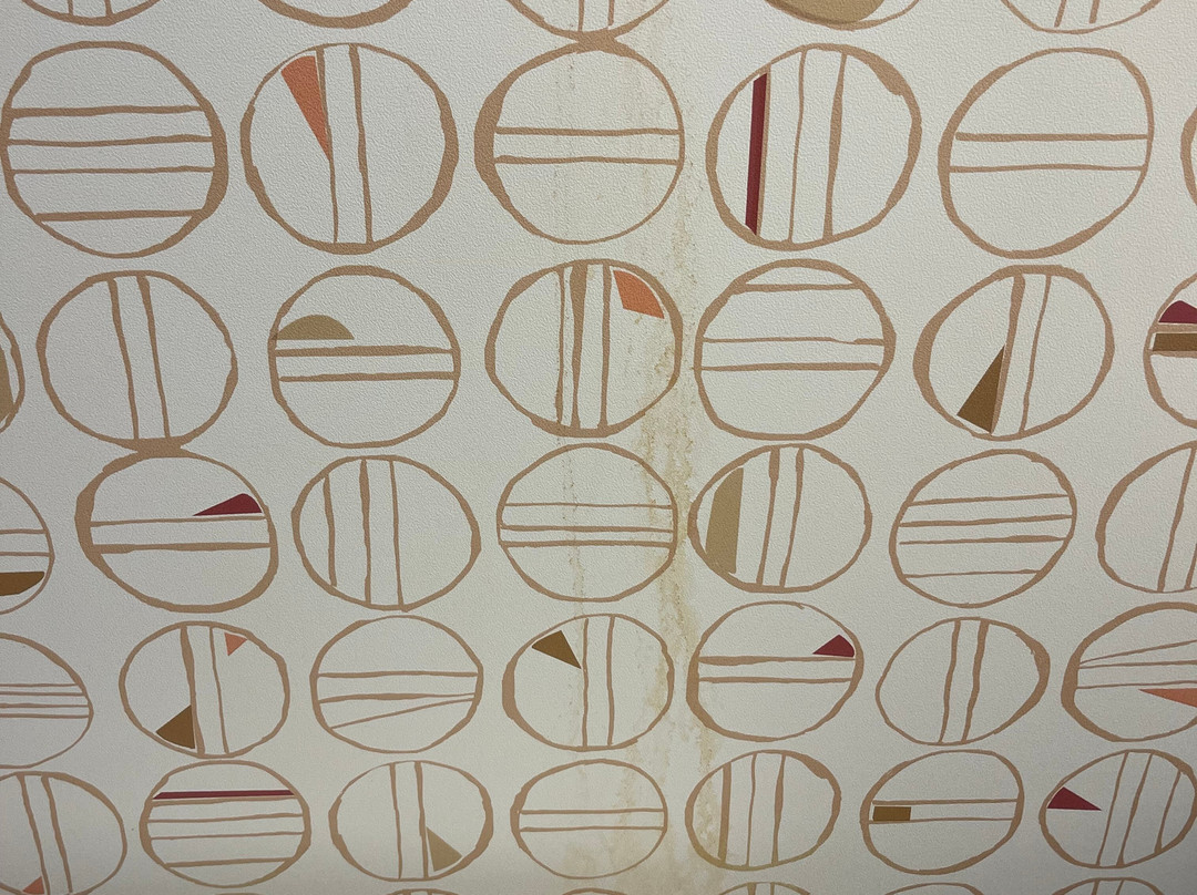 Comfort Suites Salem - Roanoke I-81主图