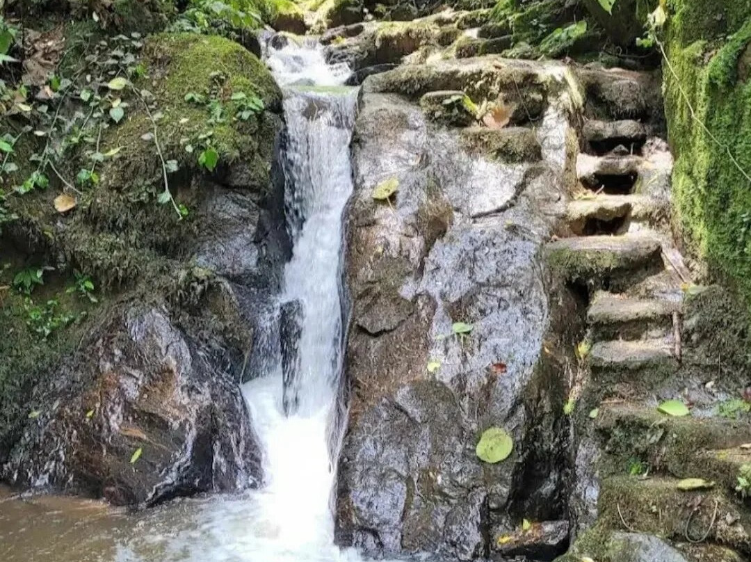 Espaço Garden Margarida-Sao Francisco Xavier必去景点