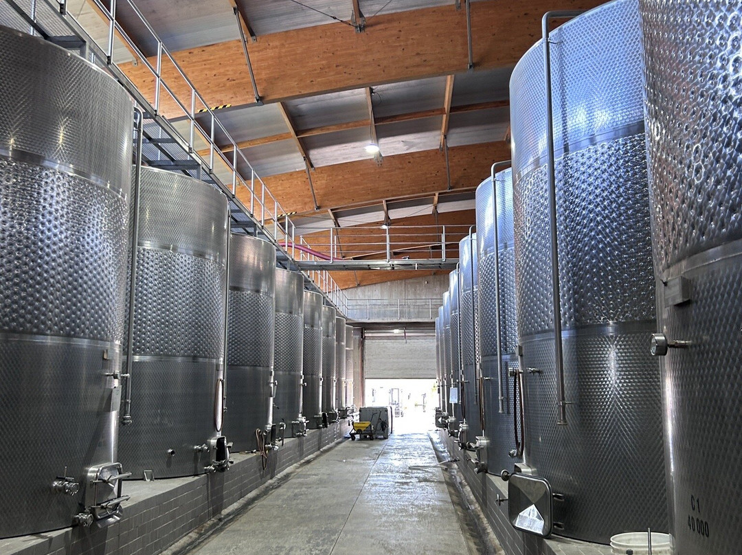 Odfjell Vineyards景点图片