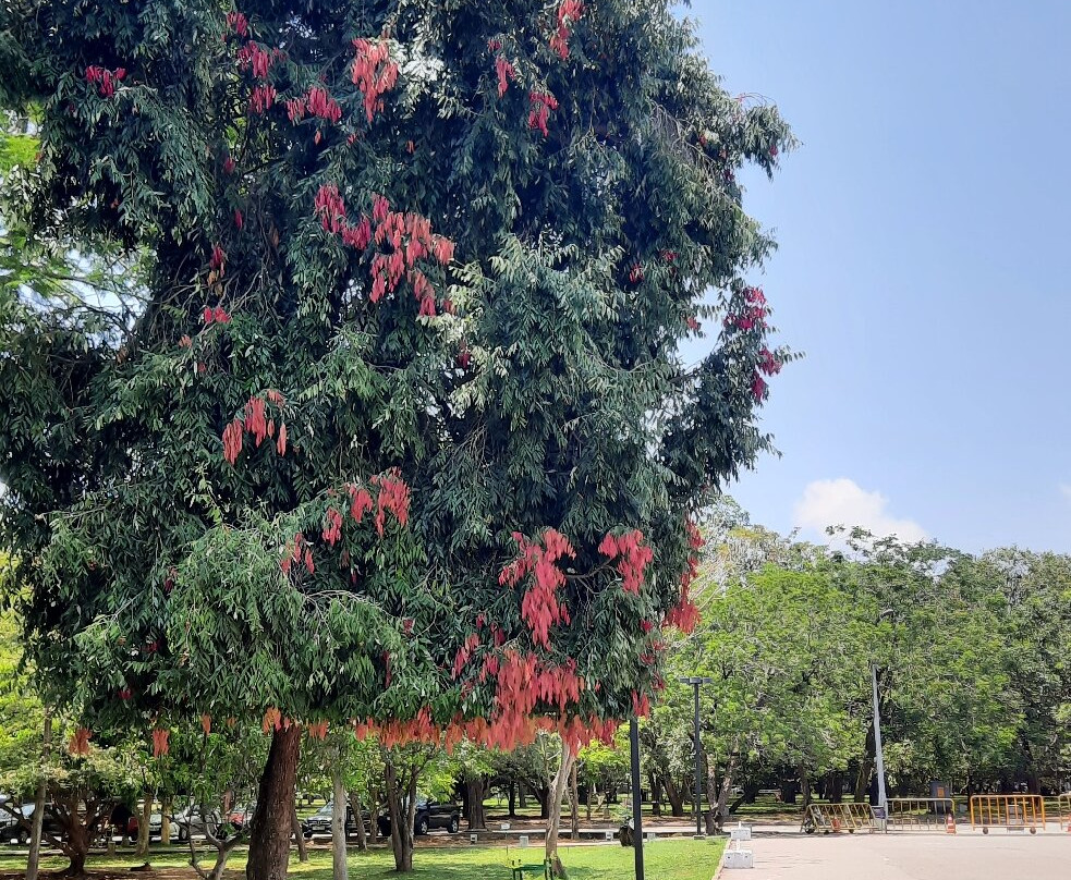 独立广场-科伦坡必去景点