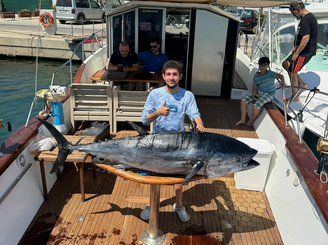 Tuna Fishing Turkey景点图片