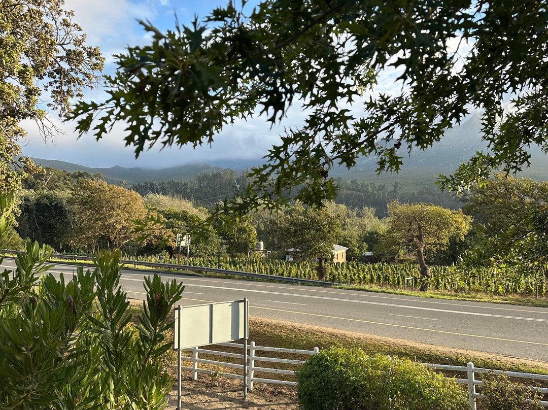 Glorious Cape Tours-开普敦中心区必去景点